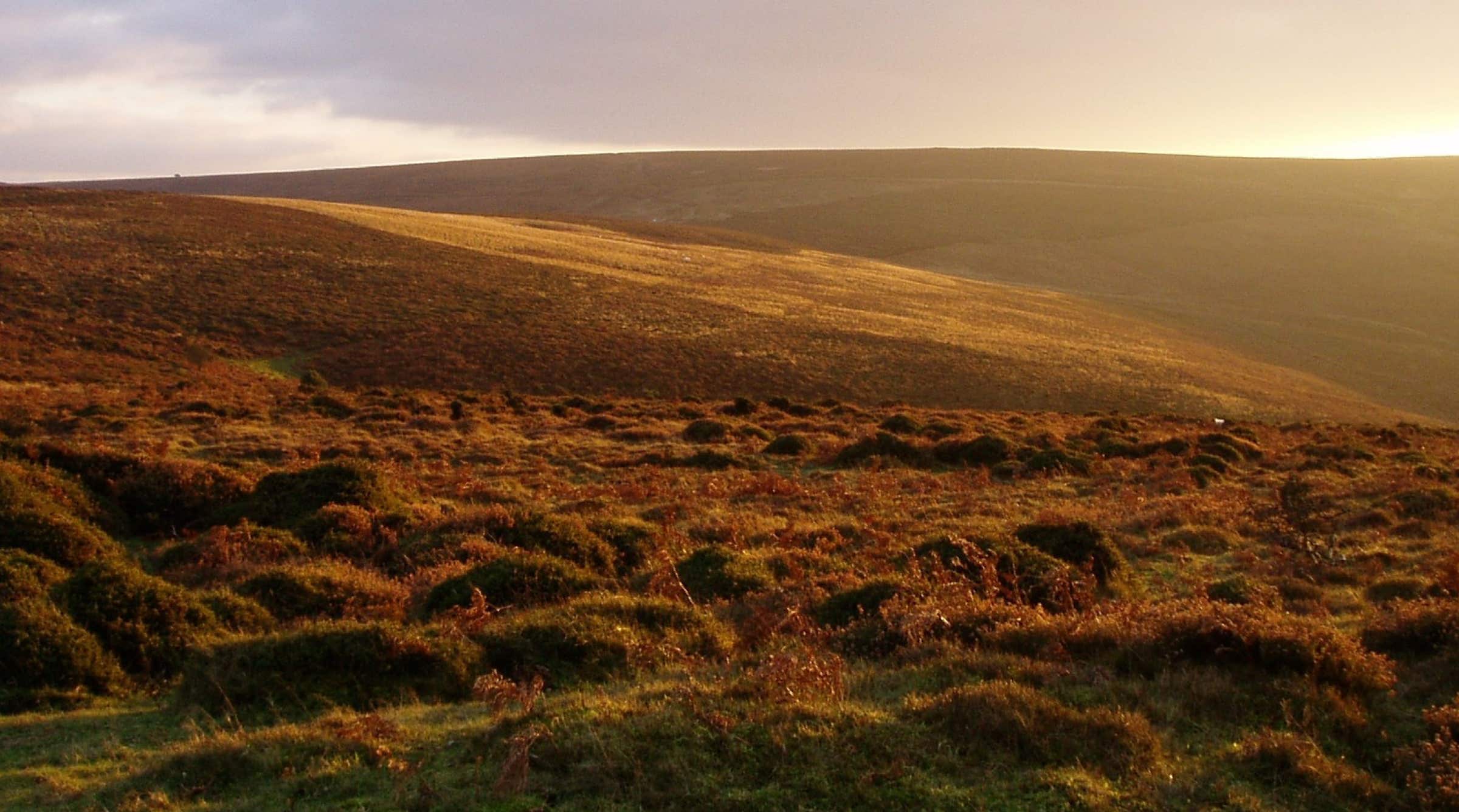 Quantock Hills, Somerset, an area served by Calder Mullis Family Solicitors.